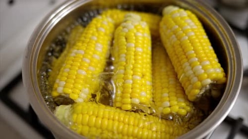 Corn Boiling in a Pot on the Stove