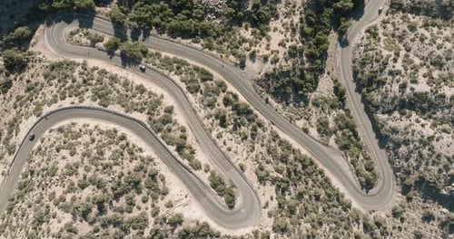 a winding road with trees and bushes