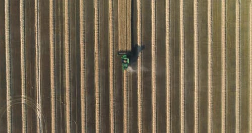 Combine Harvester Harvests Wheat Field Aerial View