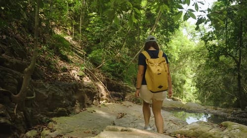 Young Woman Walks Along Shaded Rocky Path Next to Jungle Stream in Samui Island, Rear View, Concept