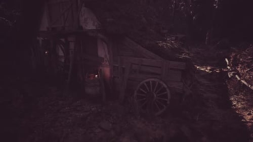 Abandoned Cart in the Woods Surrounded By Trees and Shadows at Dusk