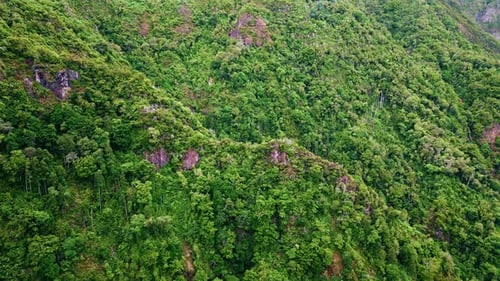Mountains Covered Lush Greenery Aerial View Picturesque Dense Green Vegetation