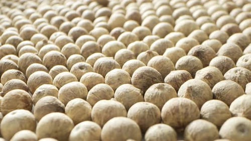 White peppercorns through a probe lens.
