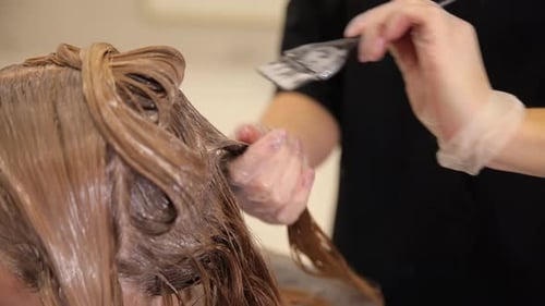 Hair Stylist Applying Dye to Client's Hair