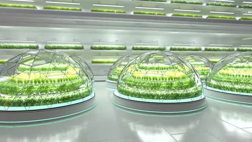 Futuristic Indoor Hydroponic Farm with Green Plants