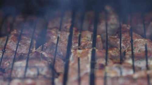 Barbecue Chicken. Slow motion, rack focus, tilt down.