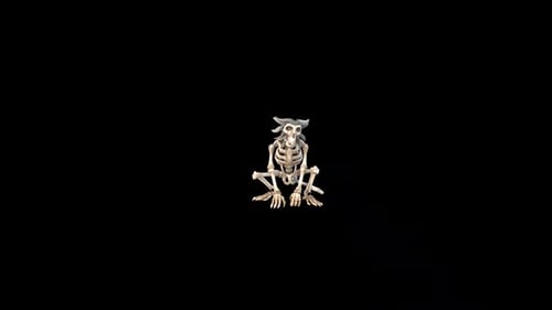 Animated Monkey Skeleton Shivering for Halloween