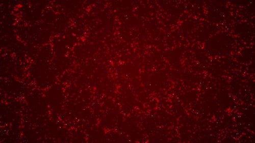 Abstract Background Red Loop