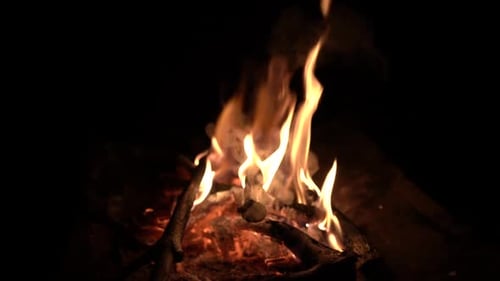 Campfire Burning Brightly in the Darkness of Night