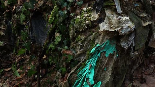 old colored fabrics and plastic abandoned in the woods, environmental pollution, close up top to bot