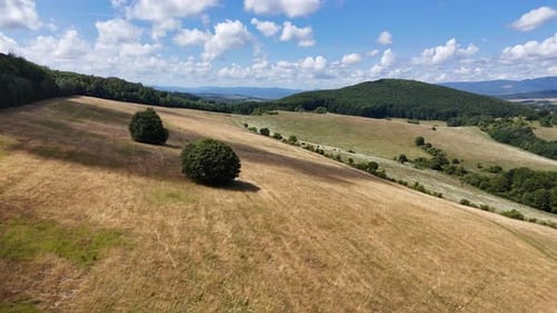Aerial view of grassy hills and trees, Slovakia.