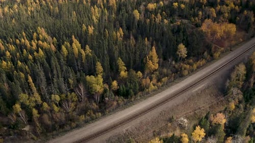 A slow motion aerial dolly forward over train tracks running through idyllic autumn boreal forest in