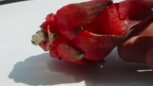 Close up of a red dragon fruit