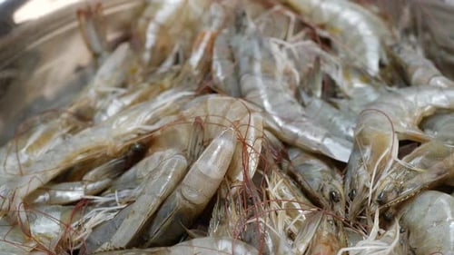 Close Up of Raw Unpeeled Shrimp in Bowl