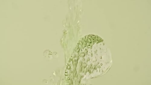 Macro Shot of Various Air Bubbles in Water Rising Up on Light White Background Liquid Cream Gel