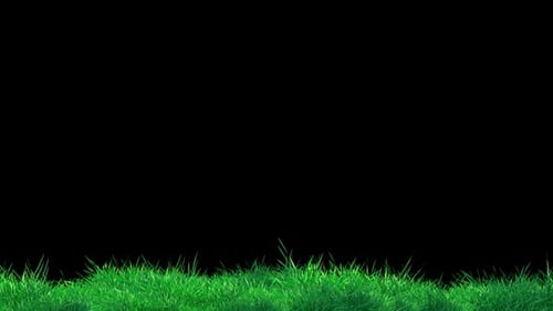 Grass Wind Copy Continue Loop on Alpha