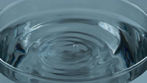 Water Ripples in a Clear Glass Bowl