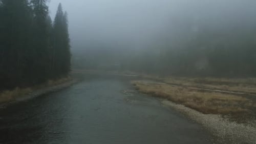 Picturesque Landscape with a River and Coniferous Forest Covered By Fog Clip Autumn Background in