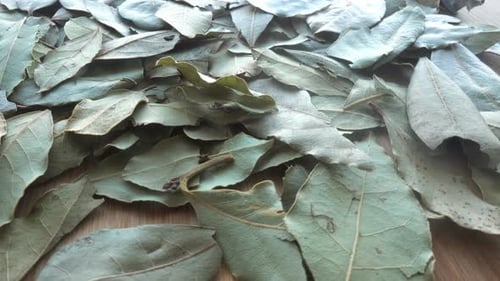 Pile of Dried Bay Leaves for Cooking