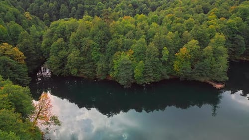 Autumn Forest and Lake