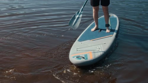 Sportsman Paddleboarding on River on Summer Day during Water Sport Activity