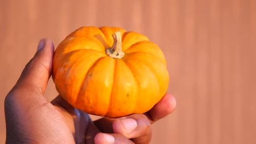 Holding a Small Orange Pumpkin in a Hand Outdoors