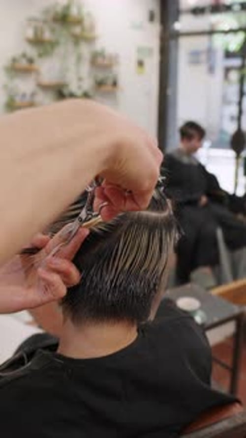 Stylist Cuts Hair at a Bright, Modern Salon