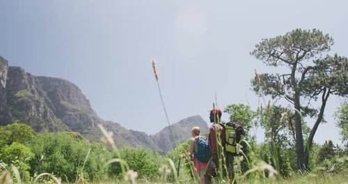 Hikers Trekking Through Grassy Field Towards Mountains