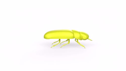 Yellow cocroach 3d animal rotating loop