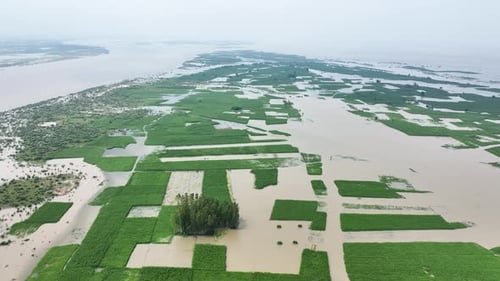 Aerial view of flooded fields, Bangladesh.