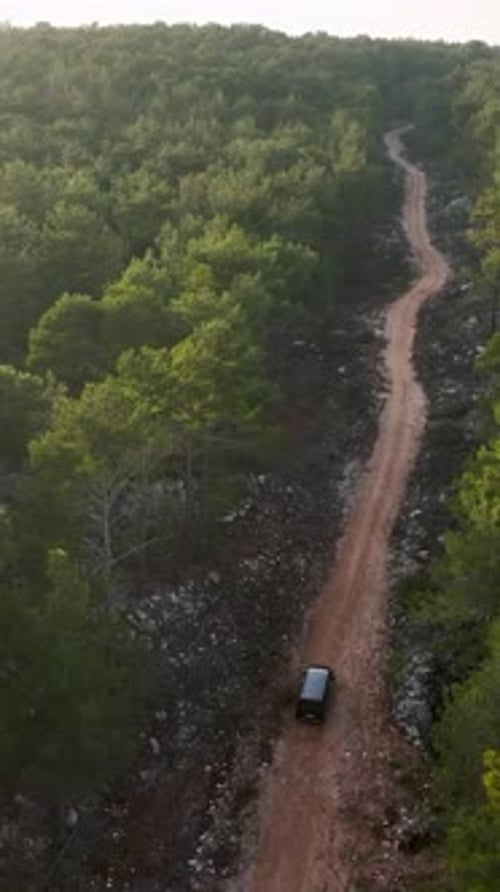 Vertical Video AweInspiring Aerial Capture Luxurious Black Car Driving Through Mysterious Green