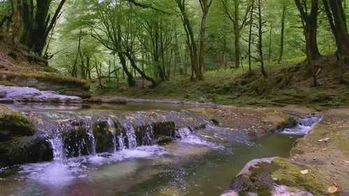 Beautiful Little Waterfalls with Quiet Rivers in Forest Creative Small Waterfalls in Forest River in