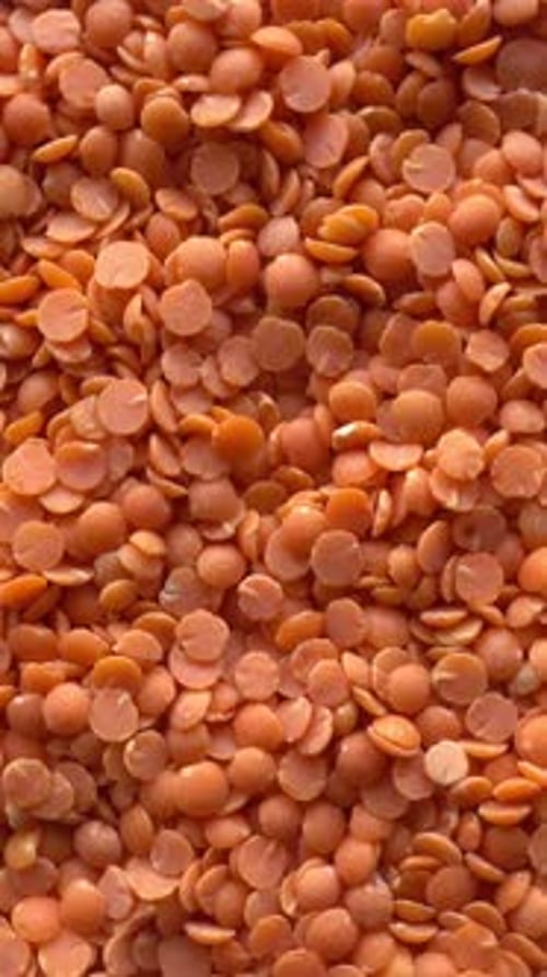 Red Lentils Pile Close Up