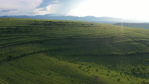 High Angle Aerial Above View of Green Meadow in the Spring, Countryside Hills