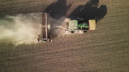Tractor on the field seeding wheat