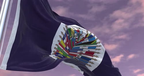 International Organization Flag Waving in the Wind