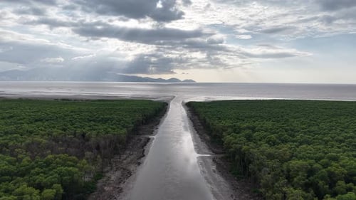 Drone aerial sunset over mangrove river channel to ocean