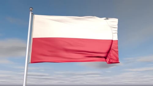 Polish Flag Waving in Realistic Blue Sky Loop