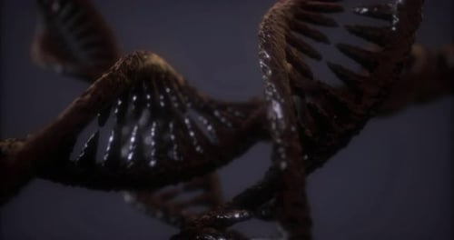 Exploring DNAs Structure Through Creative Molecular Art