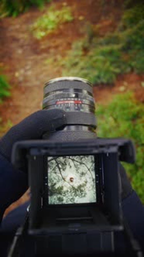 Photographer Using A Classic Film Camera During A Peaceful Nature Walk