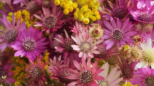 Colorful Bunch of Purple and Yellow Flowers
