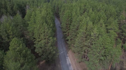 Runter zur Waldstraße