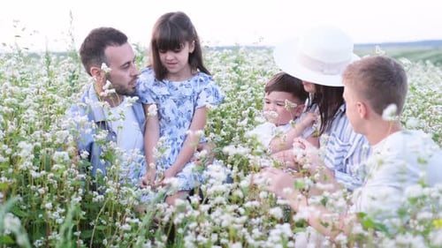 A Young Family in a Buckwheat Field
