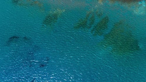 Aerial view of lake shore with beautiful turquoise water