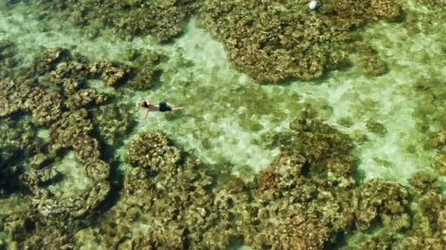 Tourists Snorkeling in the Lagoon Philippines El Nido
