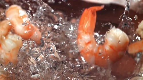 Shrimp Splashes Fall Into the Water Filmed on a Highspeed Camera at 1000 Fps
