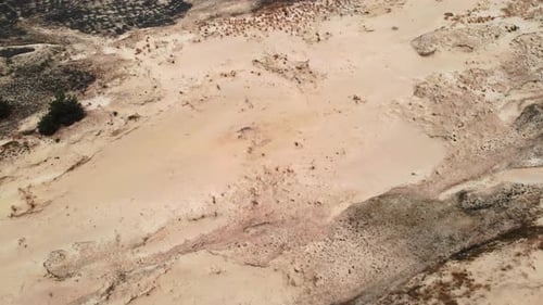 Aerial View of Sandy Desert Landscape and Dunes Media