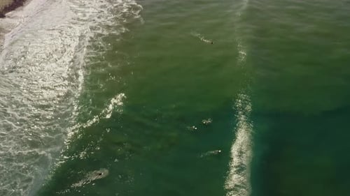Aerial View of Surfers in Ocean