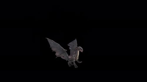 Dragon Landing Video to Idle State