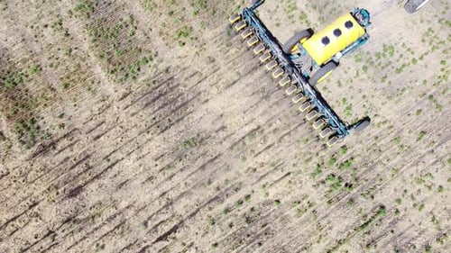 Blue Tractor O.A. Planting Canola On No Till Field